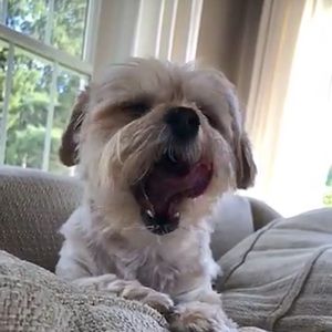 Everything must got any offer will be excepted